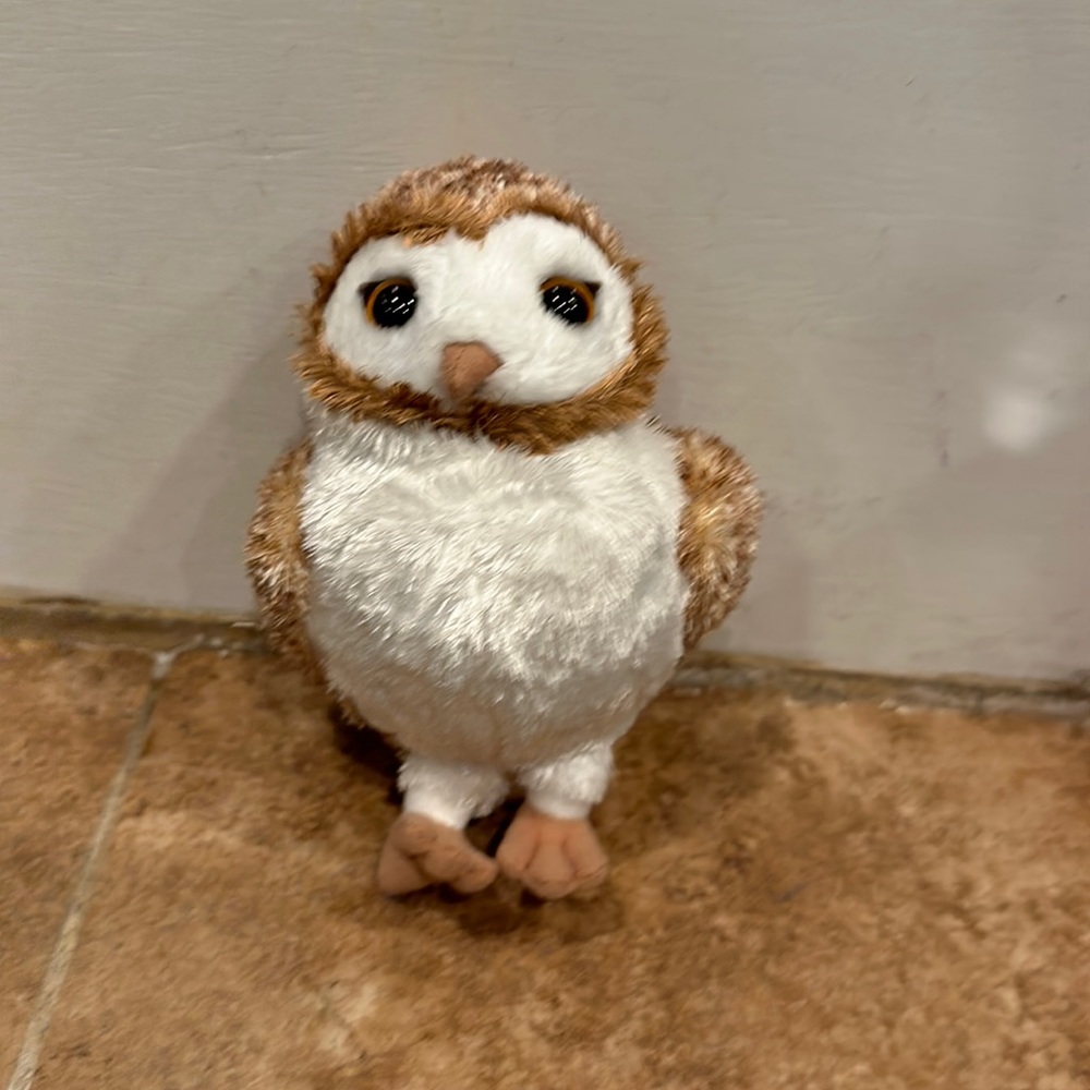 Ty beanie Soren the owl